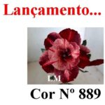 ENXERTO 12079  – 20cm (cor LM 889) - Imagem 7