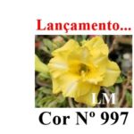 ENXERTO 12091  – 20cm (cor LM 997) - Imagem 6