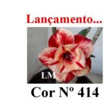 ENXERTO 12134 – 30cm (cor LM 414) - Imagem 8