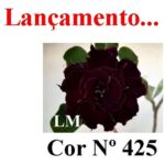 ENXERTO 12122  – 20cm (cor LM 425) - Imagem 9