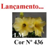 ENXERTO 12164 – 20cm (cor LM 436) - Imagem 6