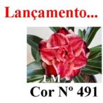 ENXERTO 12119 – 20cm (cor LM 491) - Imagem 8