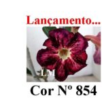 ENXERTO 12125 – 25cm (cor LM 854) - Imagem 8