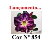 ENXERTO 12135 – 22cm (cor LM 854) - Imagem 7