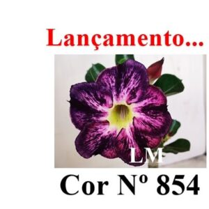 ENXERTO COR LM 854