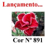 ENXERTO 12116 – 20cm (cor LM 891) - Imagem 6