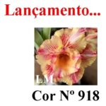 ENXERTO 12142  – 20cm (cor LM 918) - Imagem 8