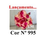 ENXERTO 12131 – 20cm (cor LM 995) - Imagem 7