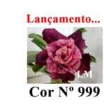 ENXERTO 12165 – 20cm (cor LM 999) - Imagem 7