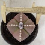 ASTROPHYTUM MYRIOSTIGMA "4 Quinas" Nº 1061 – vaso 15