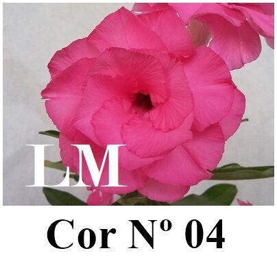 COR 04 (4) LM ENXERTO 12331 – 20cm (cor LM 04) - Imagem 7
