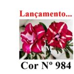 ENXERTO 12350 – 25cm (cor LM 984) - Imagem 8