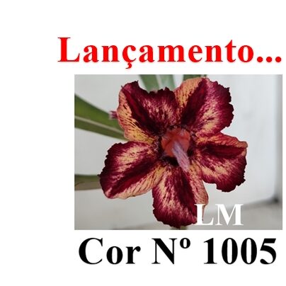 Cor Nº 1005 (6) LM ENXERTO 12330 – 20cm (cor LM 1005) - Imagem 8