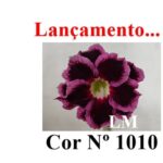 ENXERTO 12293 – 20cm (cor LM 1010) - Imagem 8