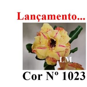 ENXERTO COR LM 1023