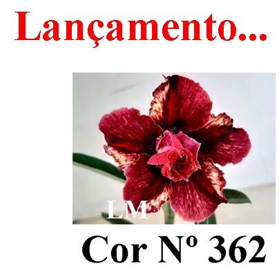 Cor Nº 362 (4) LM Lançamento ENXERTO 12324 – 20cm (cor LM 362) - Imagem 7