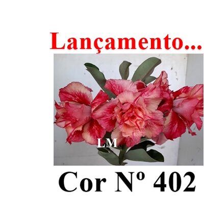 Cor Nº 402 (4) LM Lançamento ENXERTO 12298 – 20cm (cor LM 402) - Imagem 7