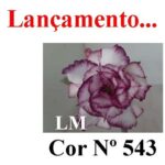 ENXERTO 12216 – 20cm (cor LM 543) - Imagem 7