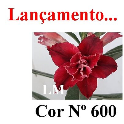 Cor Nº 600 LM Lançamento ENXERTO 12309 – 30cm (cor LM 600) - Imagem 9