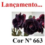 ENXERTO 12219 – 20cm (cor LM 663) - Imagem 9