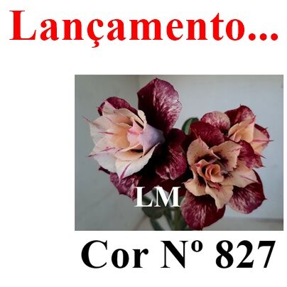 Cor Nº 827 (8) LM Lançamento ENXERTO 12316 – 20cm (cor LM 827) - Imagem 8