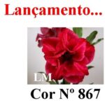 ENXERTO 12234 – 30cm (cor LM 867) - Imagem 9