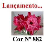 ENXERTO 12274 – 30cm (cor LM 882) - Imagem 7
