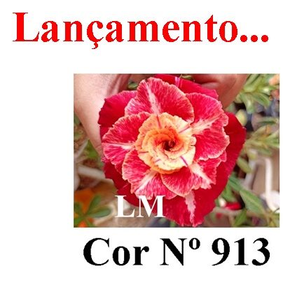 Cor Nº 913 (2) LM Lançamento ENXERTO 12288 – 22cm (cor LM 913) - Imagem 10