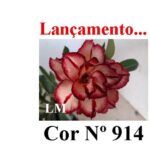 ENXERTO 12223 – 25cm (cor LM 914) - Imagem 8