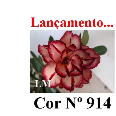 Cor Nº 914 (3) LM Lançamento ENXERTO 12303 – 20cm (cor LM 989 e LM 914) - Imagem 10