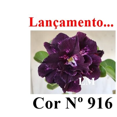Cor Nº 916 (5) LM Lançamento ENXERTO 12315 – 20cm (cor LM 916) - Imagem 8