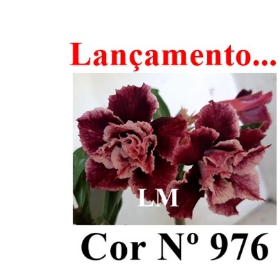 Cor Nº 976 LM Lançamento ENXERTO 12295 – 20cm (cor LM 976) - Imagem 8