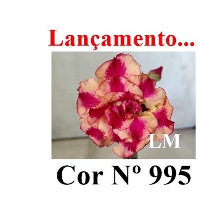 Cor Nº 995 LM Lançamento ENXERTO 12305 – 20cm (cor LM 995) - Imagem 8