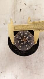 ASTROPHYTUM ASTERIAS “Purple”  Nº 1012 – vaso 09