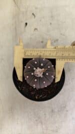 ASTROPHYTUM ASTERIAS “Purple” Nº 1021 – vaso 09 - Imagem 4