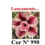 ENXERTO 12356 – 20cm (cor LM 990) - Imagem 6