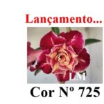 ENXERTO 12427 – 20cm (cor LM 725) - Imagem 7