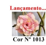 ENXERTO 12448 – 20cm (cor LM 1013) - Imagem 7