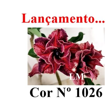 Cor Nº 1026 LM Lançamento ENXERTO COR LM 1026 - Imagem 1