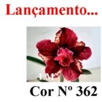 ENXERTO 12419 – 20cm (cor LM 362) - Imagem 7