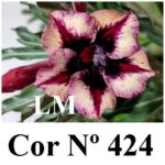 ENXERTO 12394 – 20cm (cor LM 424) - Imagem 7