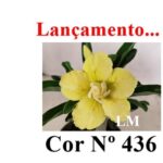 ENXERTO 12374 – 20cm (cor LM 436) - Imagem 9