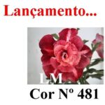 ENXERTO 12357 – 20cm (cor LM 481) - Imagem 6