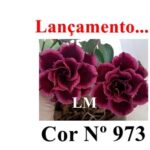 ENXERTO 12462 – 25cm (cor LM 973) - Imagem 7