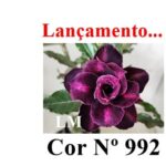 ENXERTO 12438 – 20cm (cor LM 992) - Imagem 8